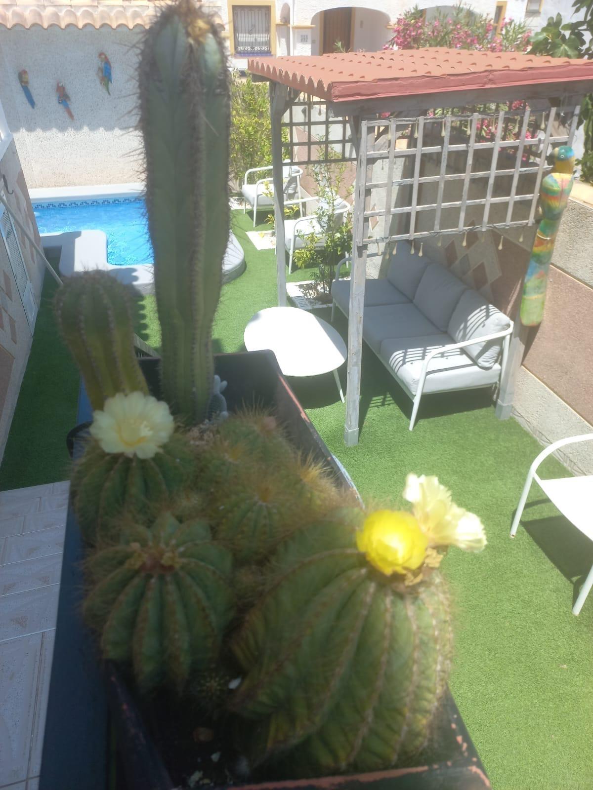 3 Bedroom Townhouse for Sale in Orihuela Costa, Alicante 12